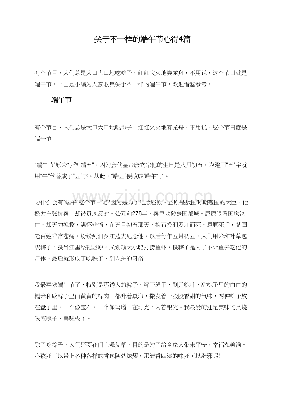 关于不一样的端午节心得4篇.doc_第1页