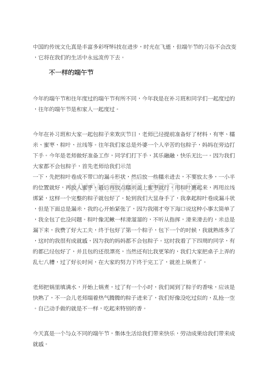 关于不一样的端午节心得4篇.doc_第2页