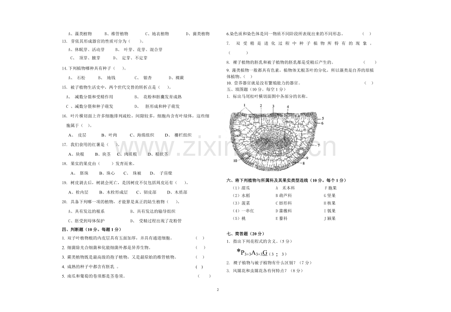 森林植物学试题AB卷及答案2套.doc_第2页