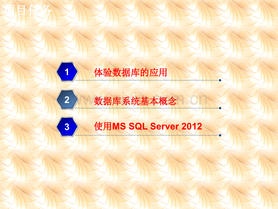 《数据库技术项目化教程(SQLServer)》课件.pptx_第2页