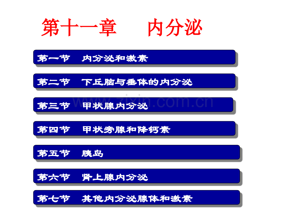 中职《生理学》课件第十一章--内分泌.ppt_第1页