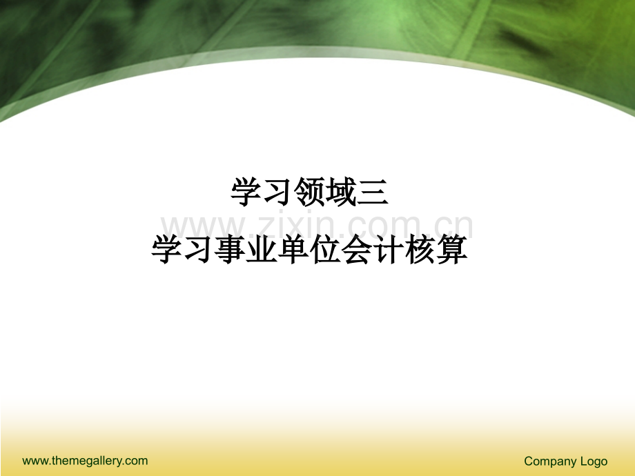事业单位会计1资产.ppt_第1页