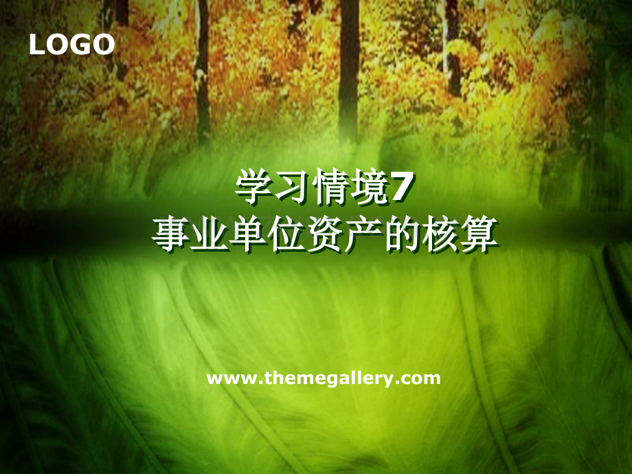 事业单位会计1资产.ppt_第2页