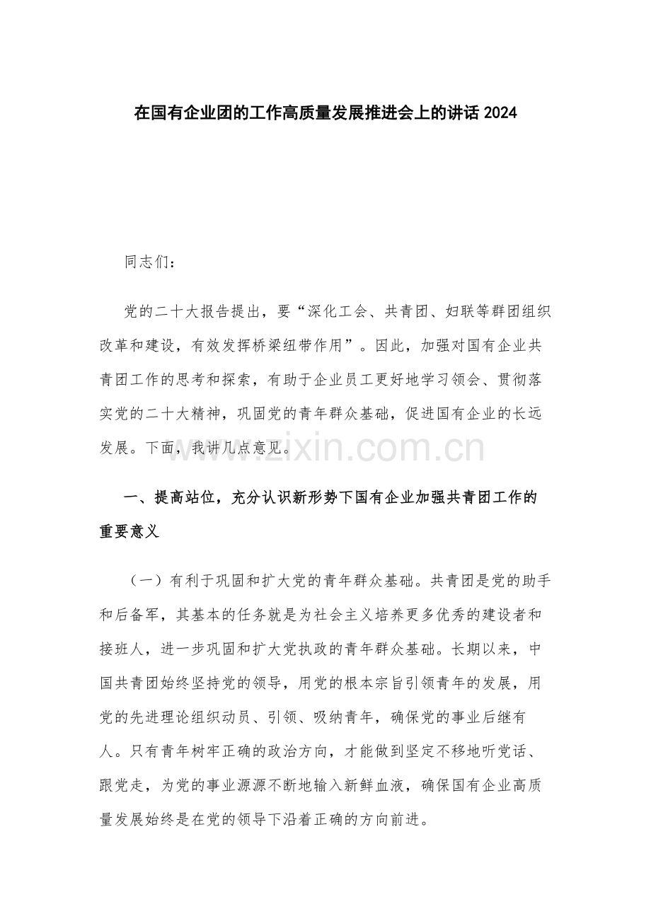 在国有企业团的工作高质量发展推进会上的讲话2024.docx_第1页