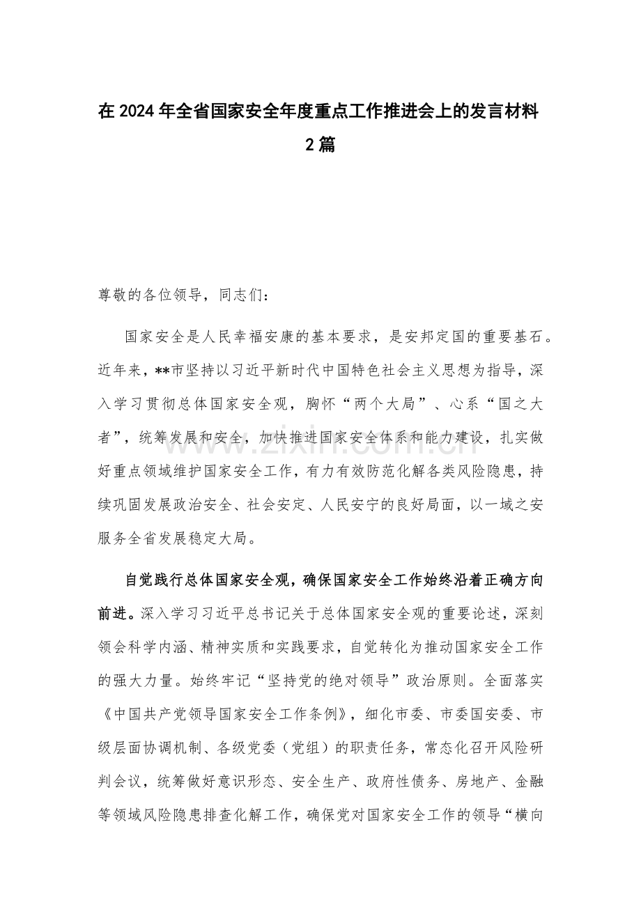 在2024年全省国家安全年度重点工作推进会上的发言材料2篇.docx_第1页