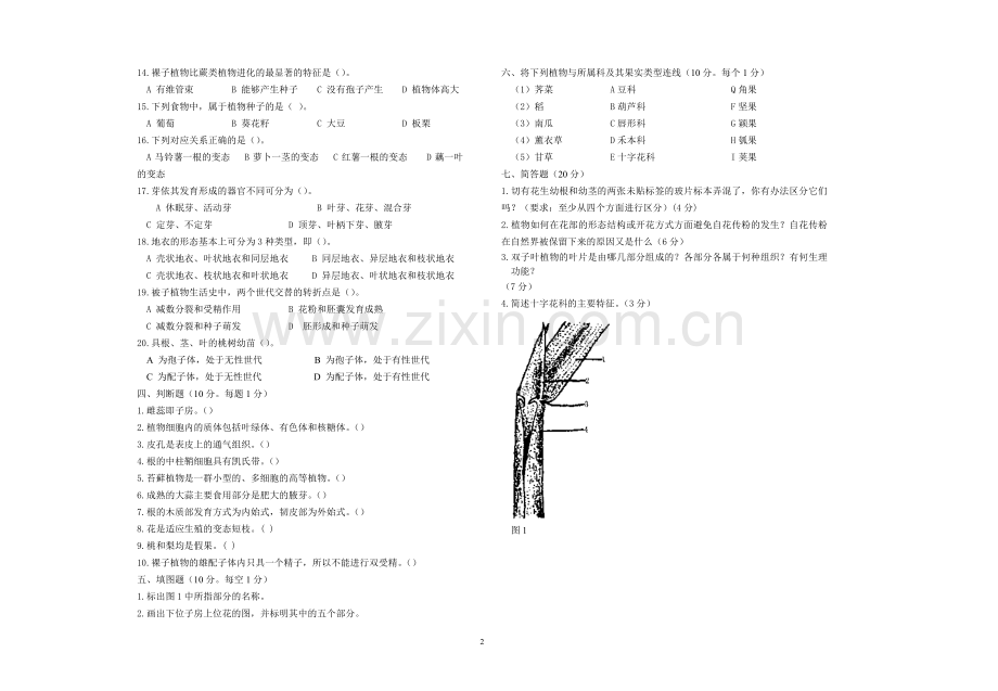 森林植物学试卷题库及答案7套.doc_第2页