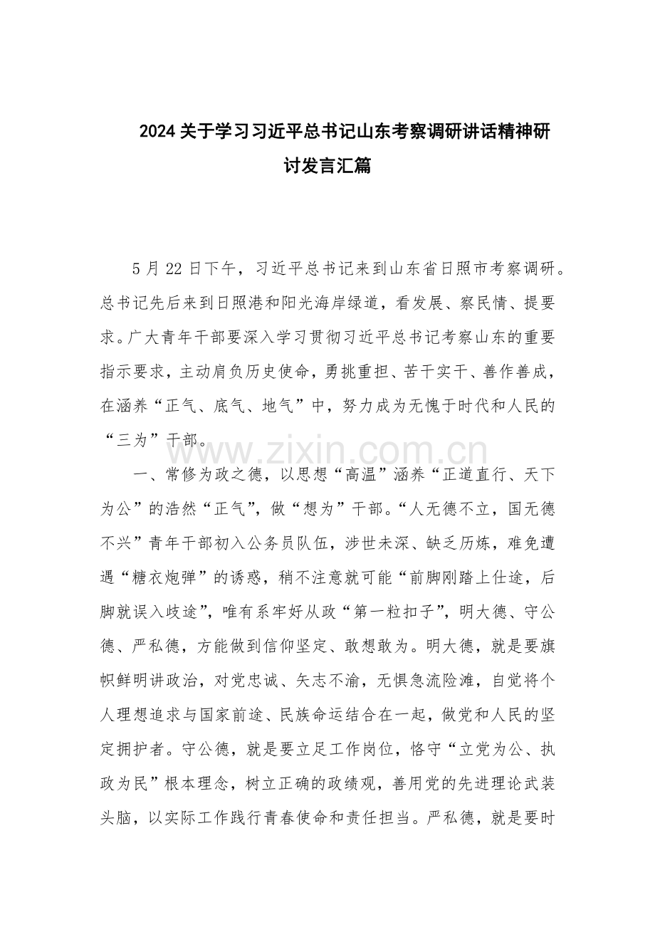 2024关于学习习近平总书记山东考察调研讲话精神研讨发言汇篇.docx_第1页