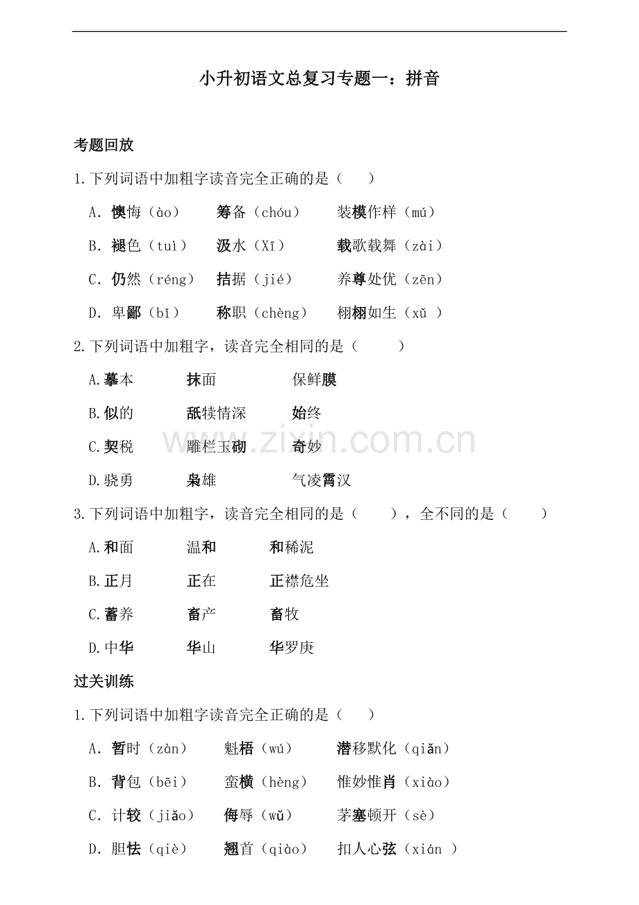 2021-2022学年小升初语文总复习.doc_第1页