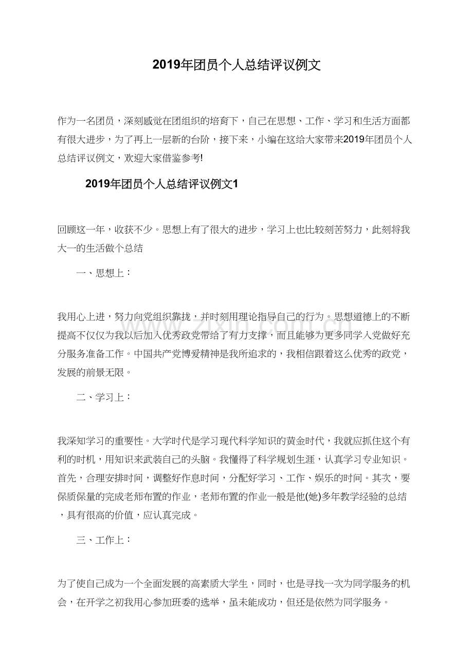 2019年团员个人总结评议例文.doc_第1页