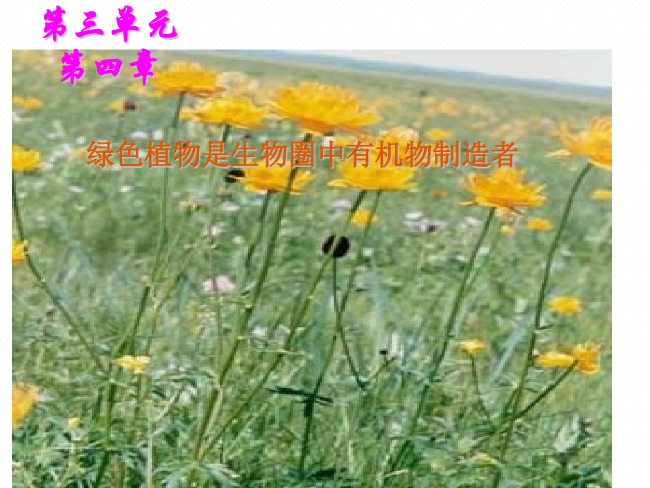 七年级生物上册第三单元第四章绿色植物是生物圈中有机物的制造者市公开课一等奖省优质课赛课一等奖课件.pptx_第1页