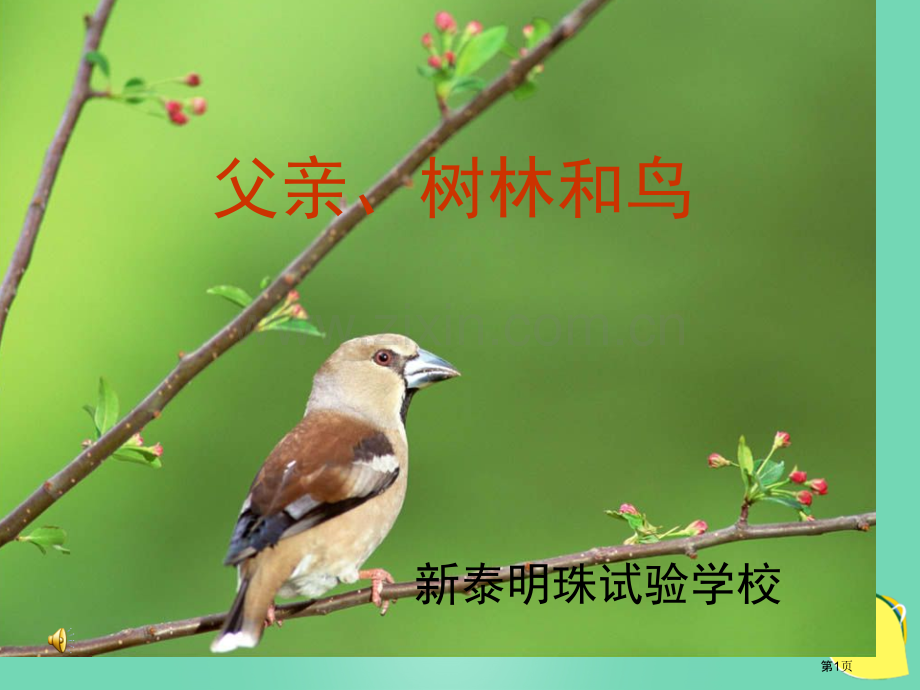 s版语文第五册父亲、树林和鸟市名师优质课比赛一等奖市公开课获奖课件.pptx_第1页