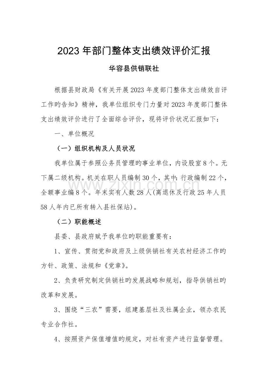 部门整体支出绩效评价报告.doc_第1页