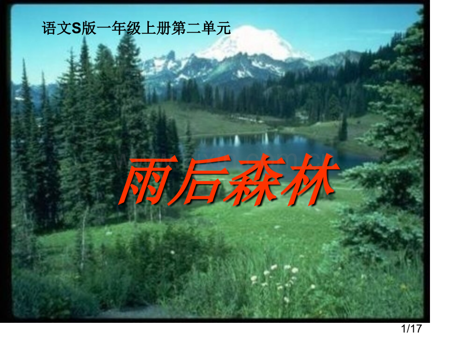一年级上册雨后的森林语文S版市公开课获奖课件省名师优质课赛课一等奖课件.ppt_第1页