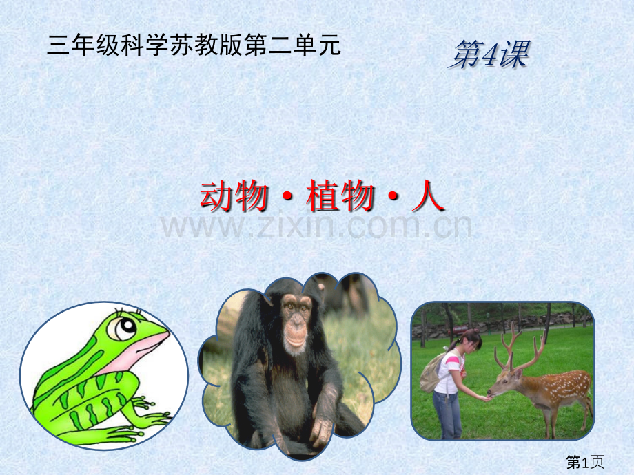 三年级上册科学-动物植物人省名师优质课赛课获奖课件市赛课一等奖课件.ppt_第1页