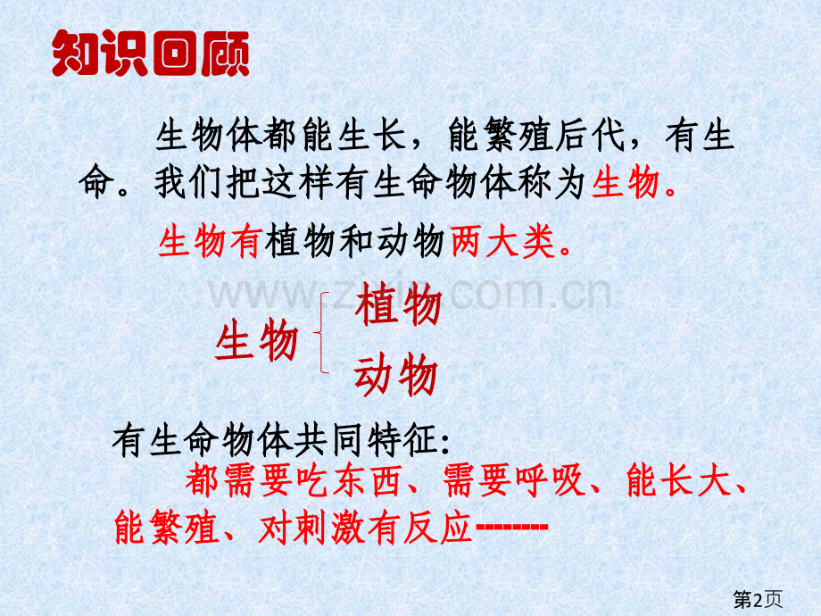 三年级上册科学-动物植物人省名师优质课赛课获奖课件市赛课一等奖课件.ppt_第2页