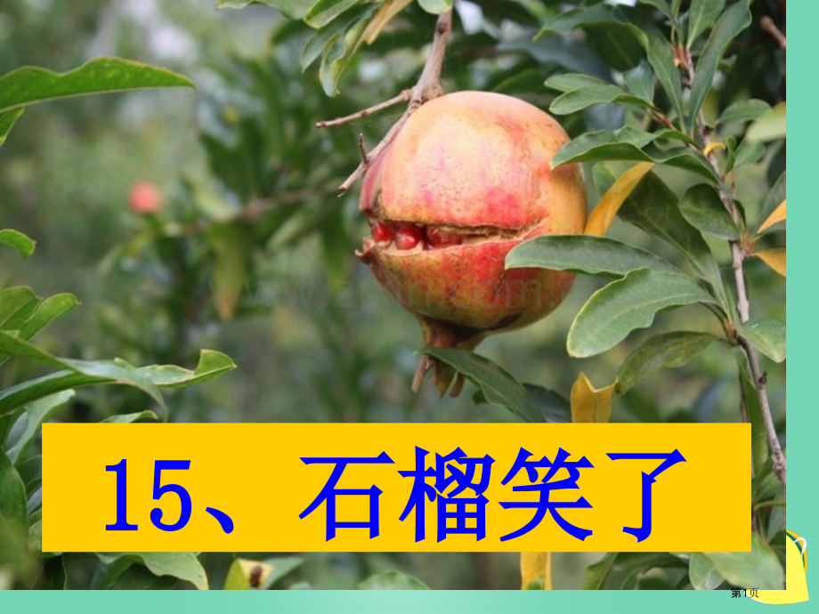 s版语文第一册石榴笑了市名师优质课比赛一等奖市公开课获奖课件.pptx_第1页