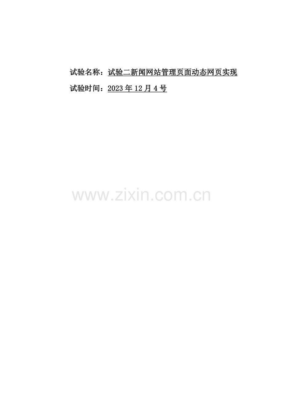 2023年技术实验报告.docx_第1页