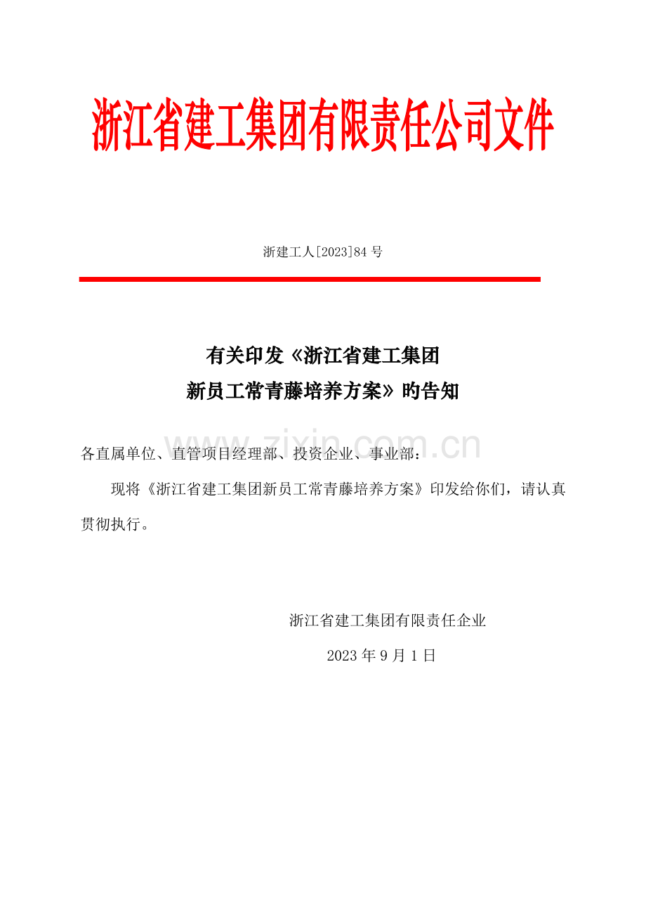 集团公司常青藤培养方案.doc_第1页