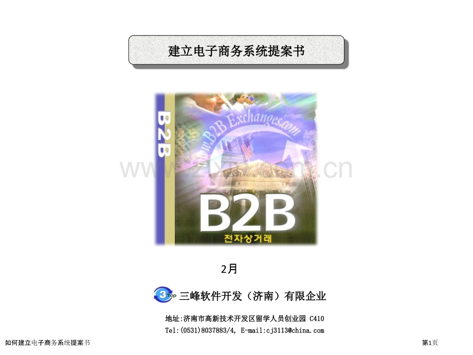 如何建立电子商务系统提案书.pptx_第1页