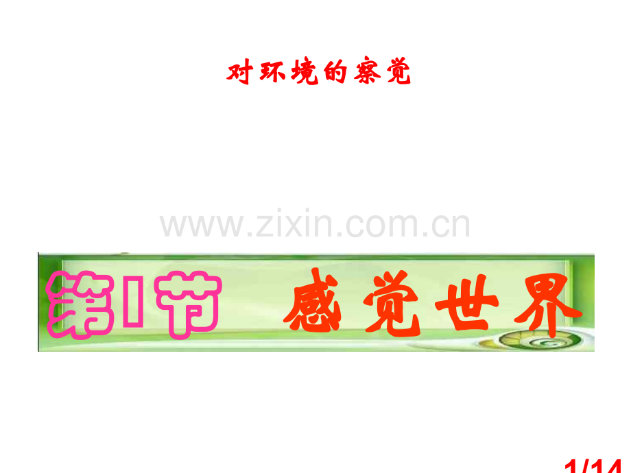 感觉世界4--浙教版省名师优质课赛课获奖课件市赛课一等奖课件.ppt_第1页