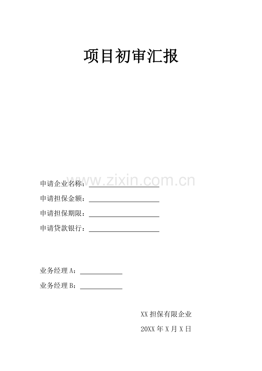 融资性担保公司项目初审报告.docx_第1页