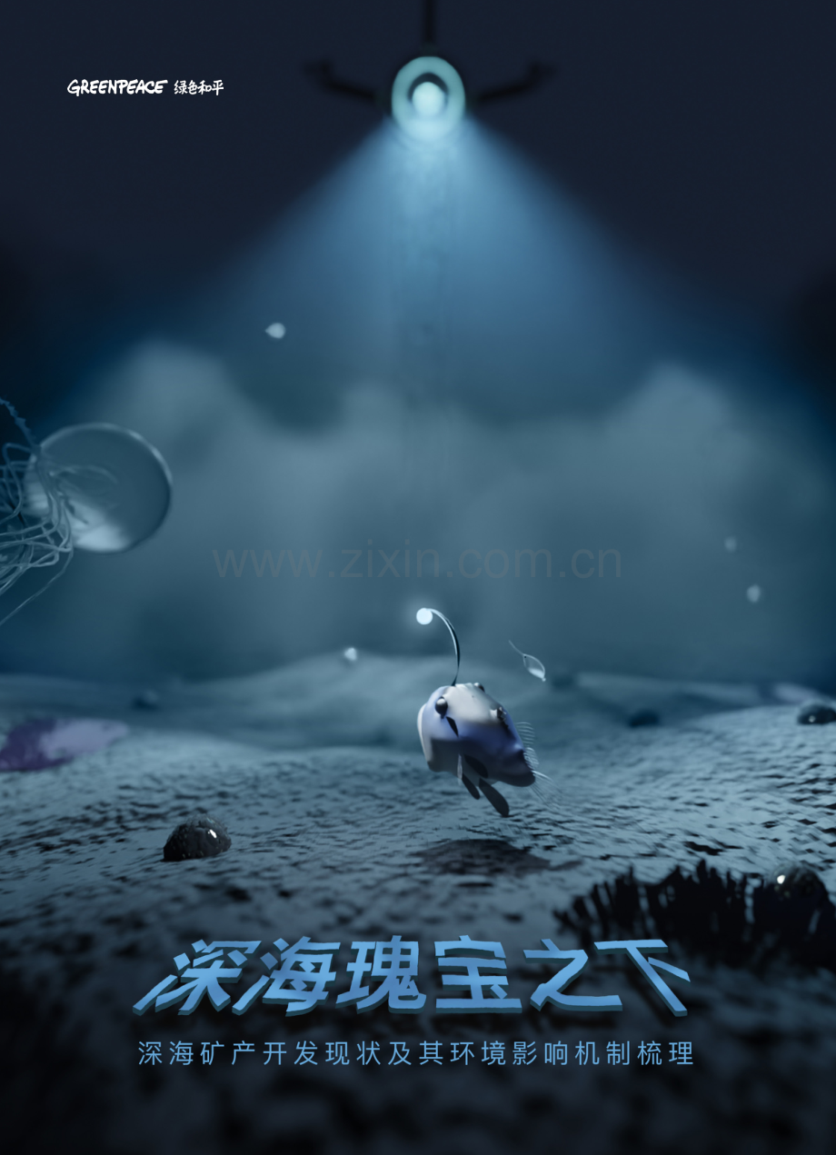 深海矿产开发现状及其环境影响机制梳理—深海瑰宝之下简报.pdf_第1页