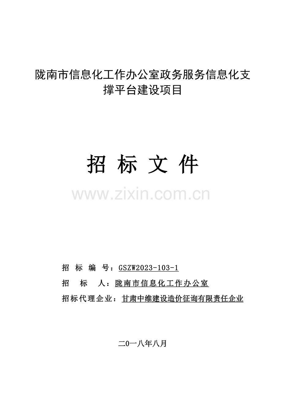 陇南信息化工作办公室政务服务信息化支撑平台建设项目.doc_第1页