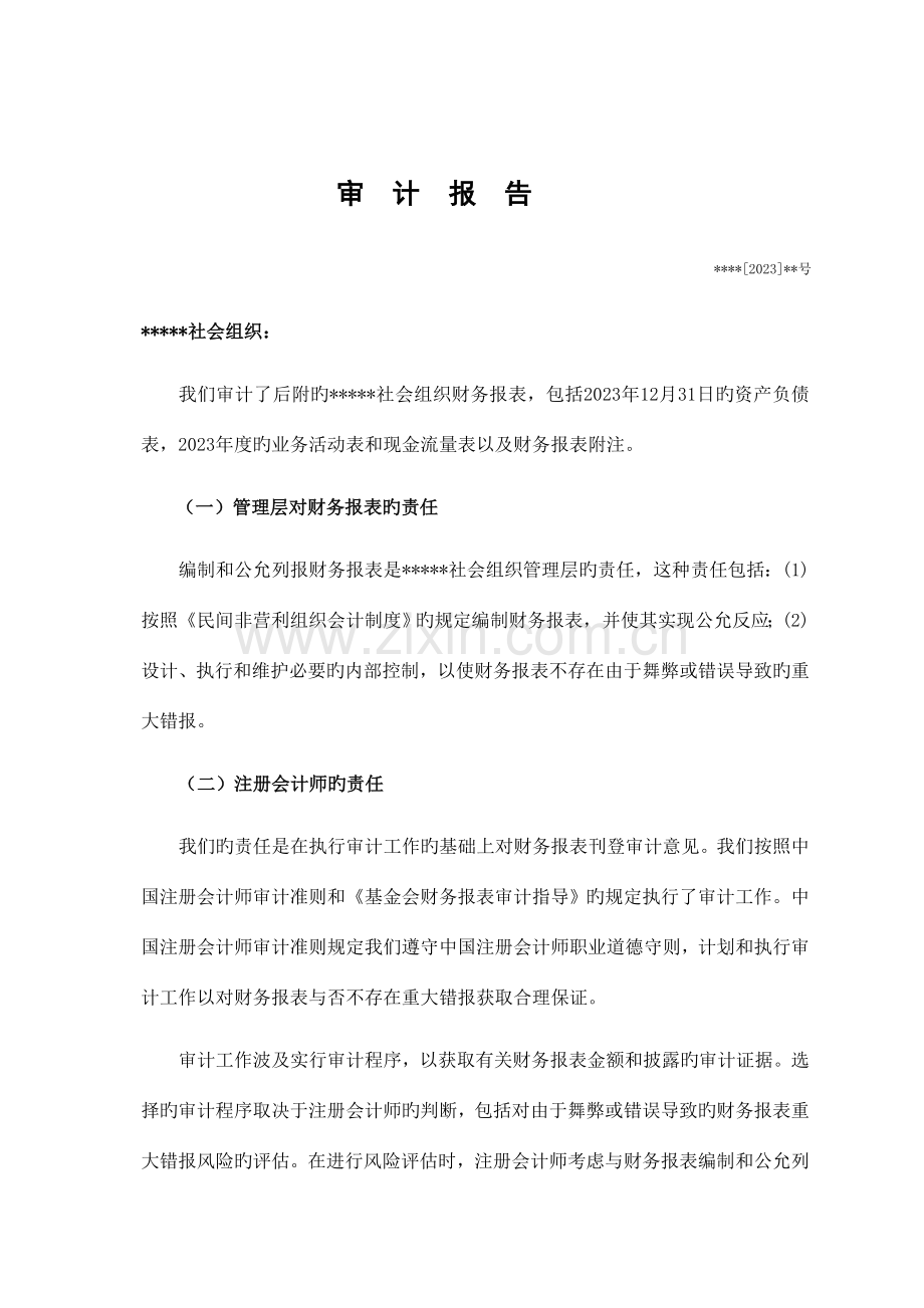 社会团体年度财务审计报告范本.doc_第1页
