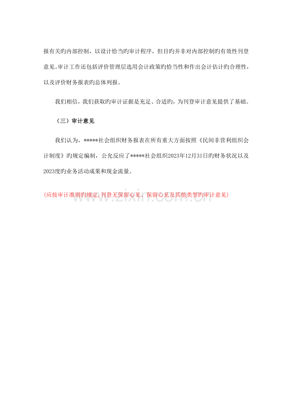 社会团体年度财务审计报告范本.doc_第2页