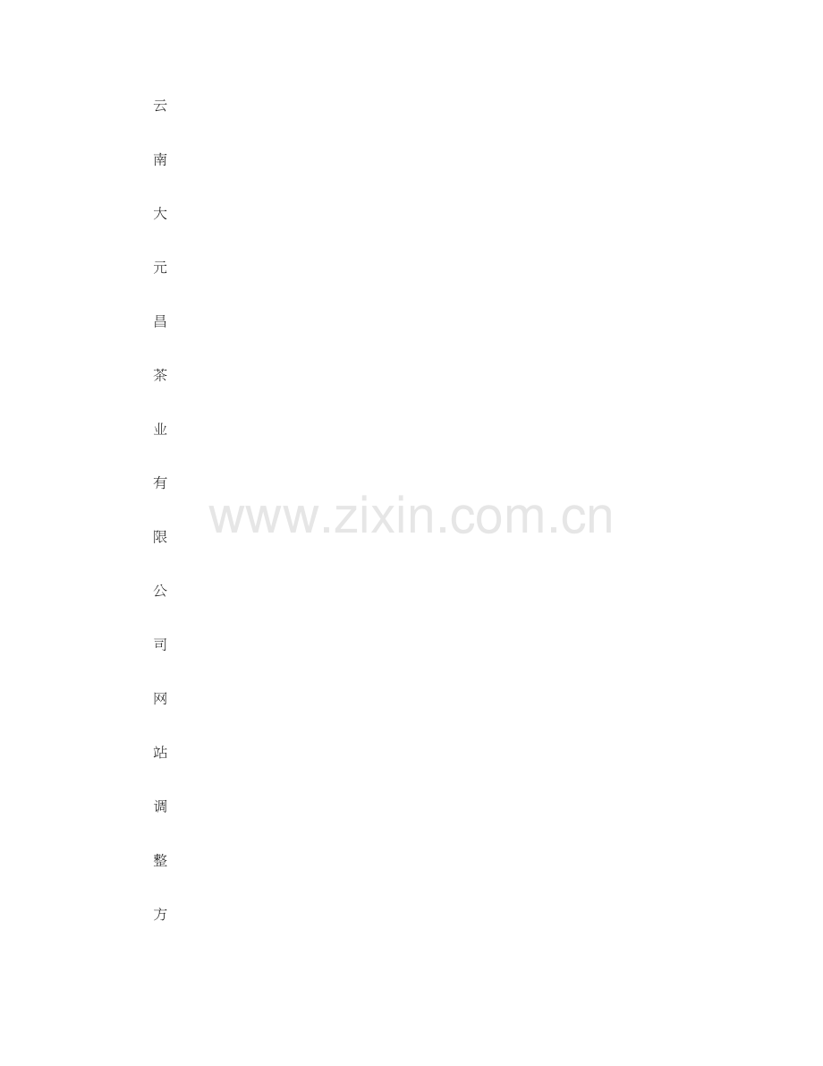 公司网站调整方案概要.doc_第1页