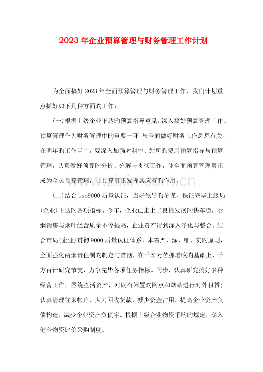 企业预算管理与财务管理工作计划.doc_第1页