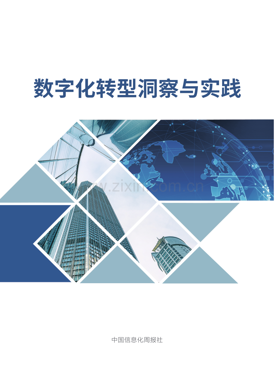 数字化转型洞察与实践.pdf_第1页