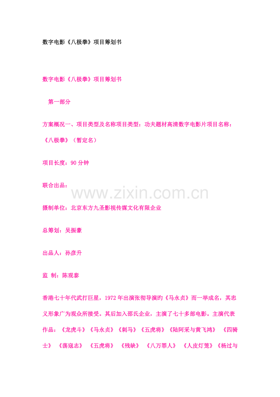 数字电影八极拳项目策划书DOC.doc_第1页