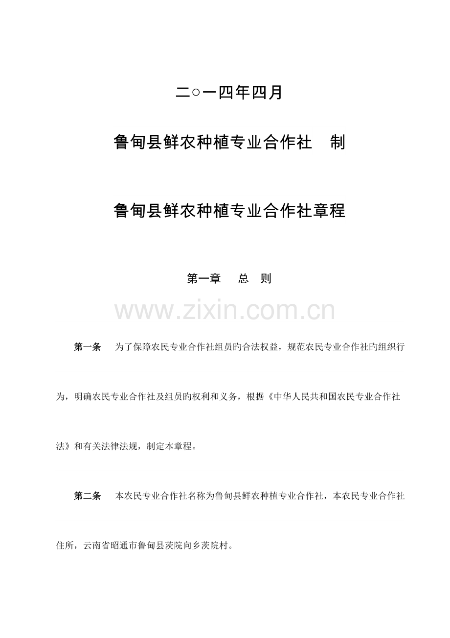 鲜农专业合作社章程.doc_第2页