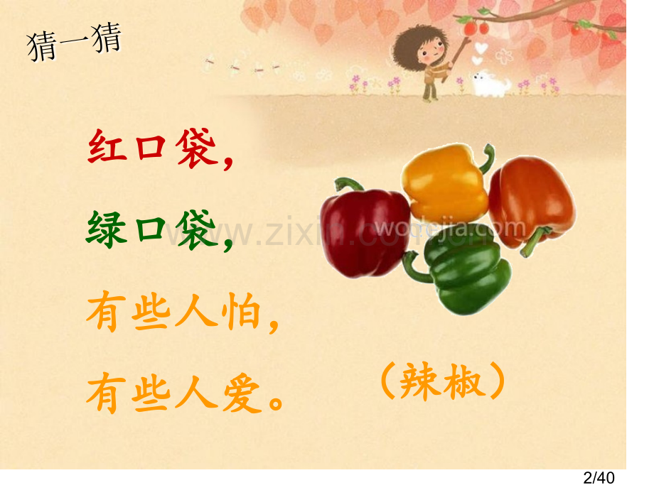 《菜园里》PPT及教案市公开课获奖课件省名师优质课赛课一等奖课件.ppt_第2页