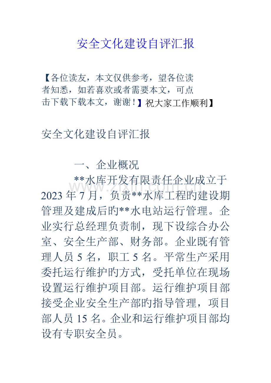 安全文化建设自评报告.doc_第1页