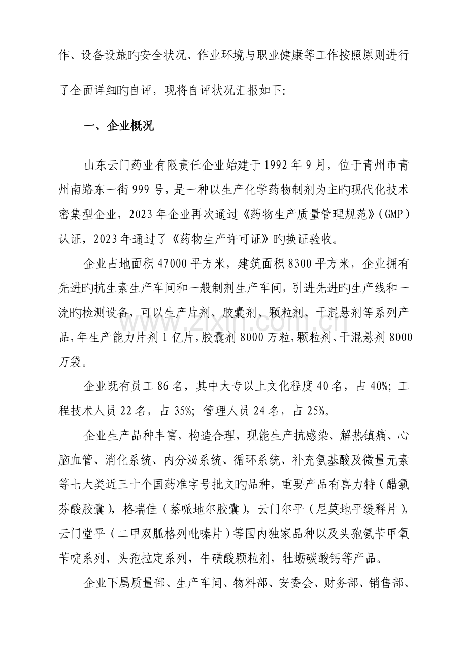 安全生产标准化验收自评报告.doc_第2页