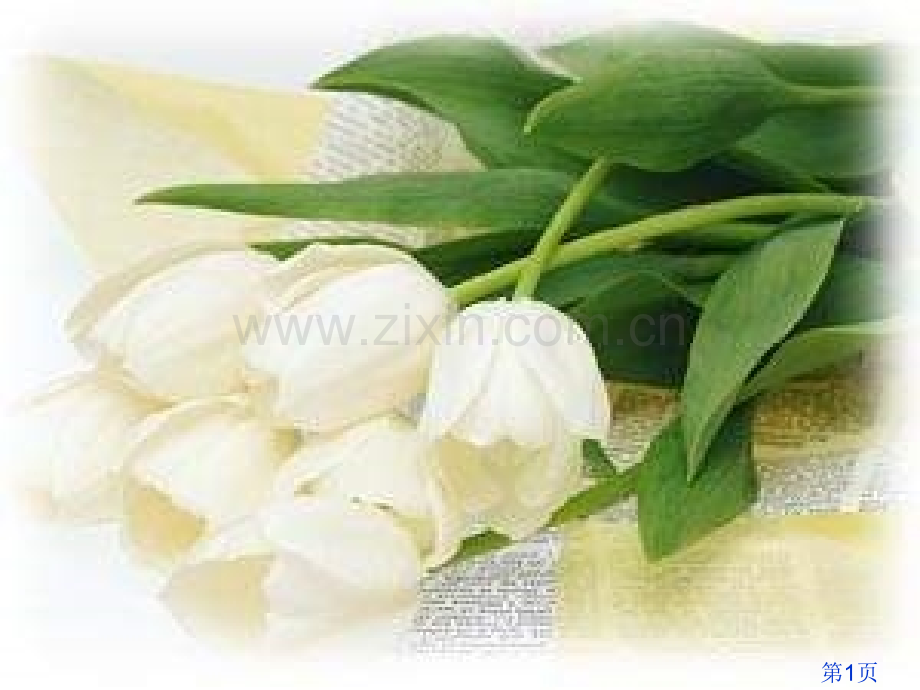 七年级下三单元复习省名师优质课赛课获奖课件市赛课一等奖课件.ppt_第1页