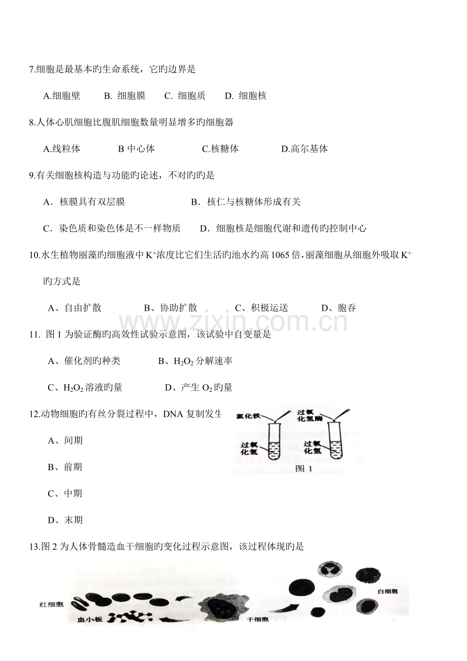2023年湖南省普通高中学业水平考试生物试卷精校版附答案.docx_第2页