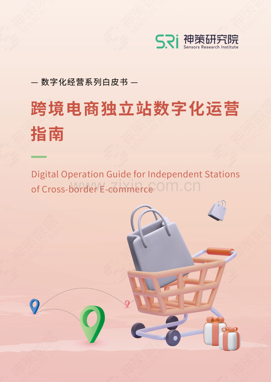 跨境电商独立站数字化运营指南.pdf_第1页