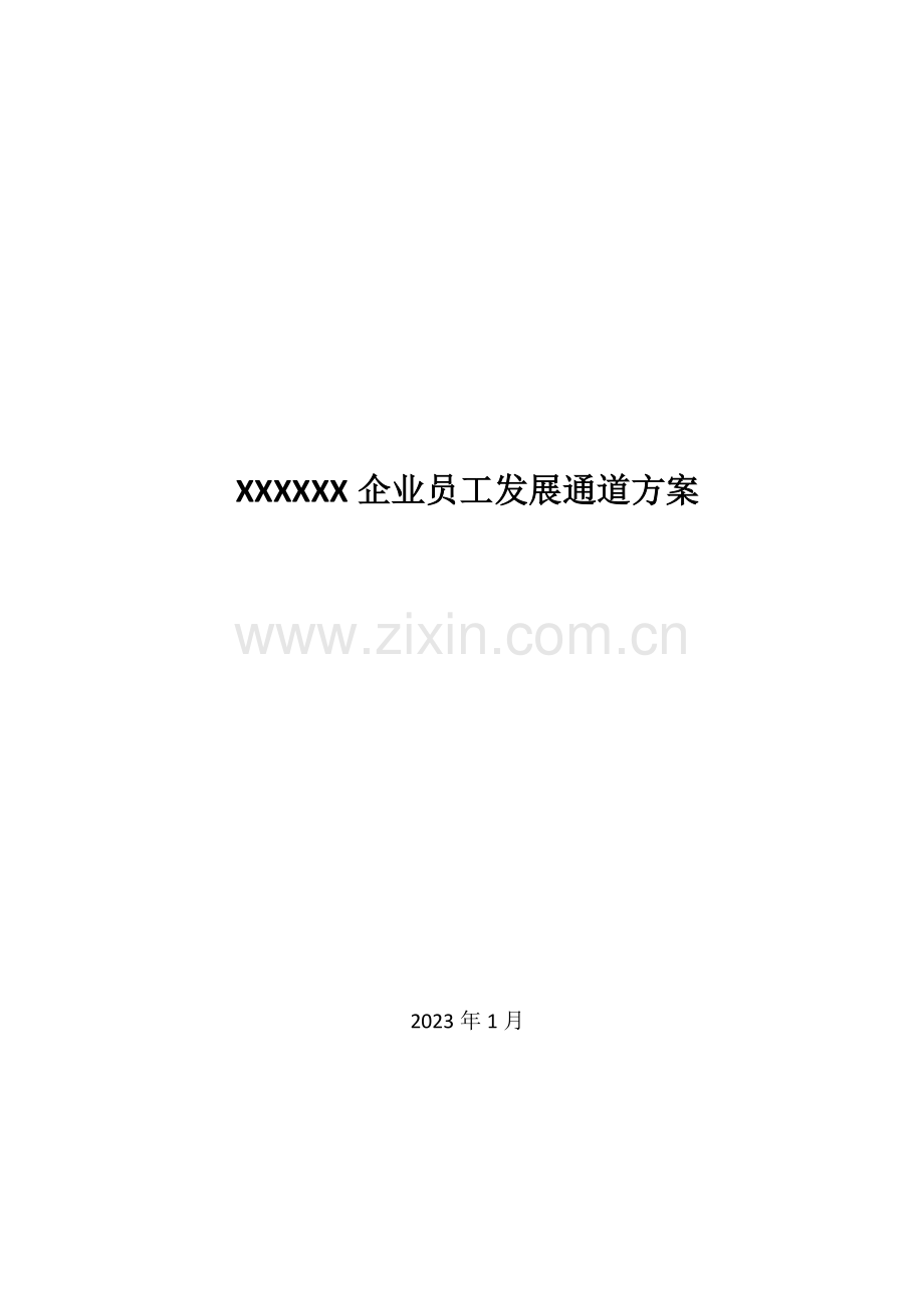 岗位发展通道方案.doc_第1页