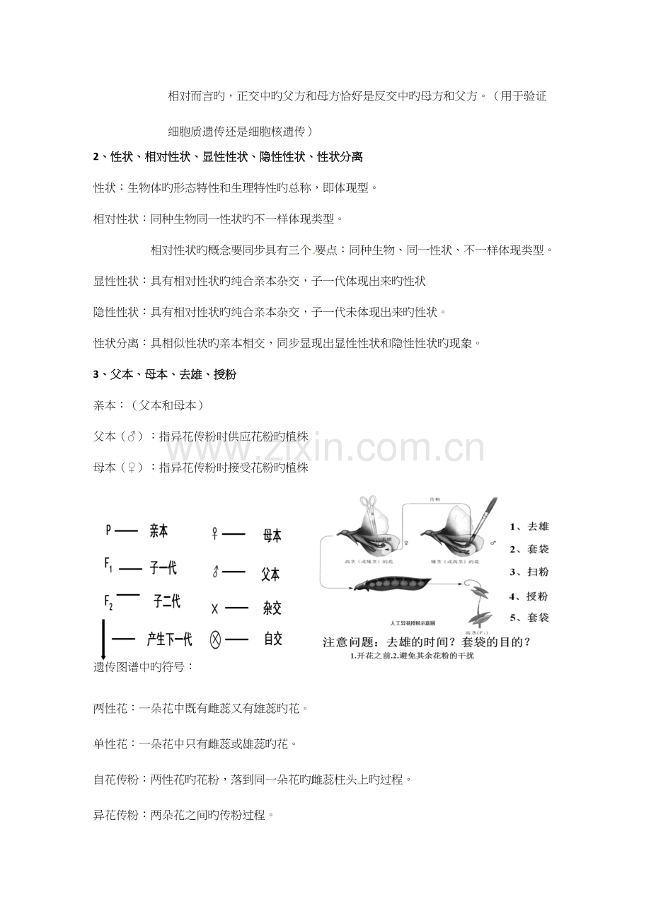 2023年知识点遗传的基本规律.docx_第2页