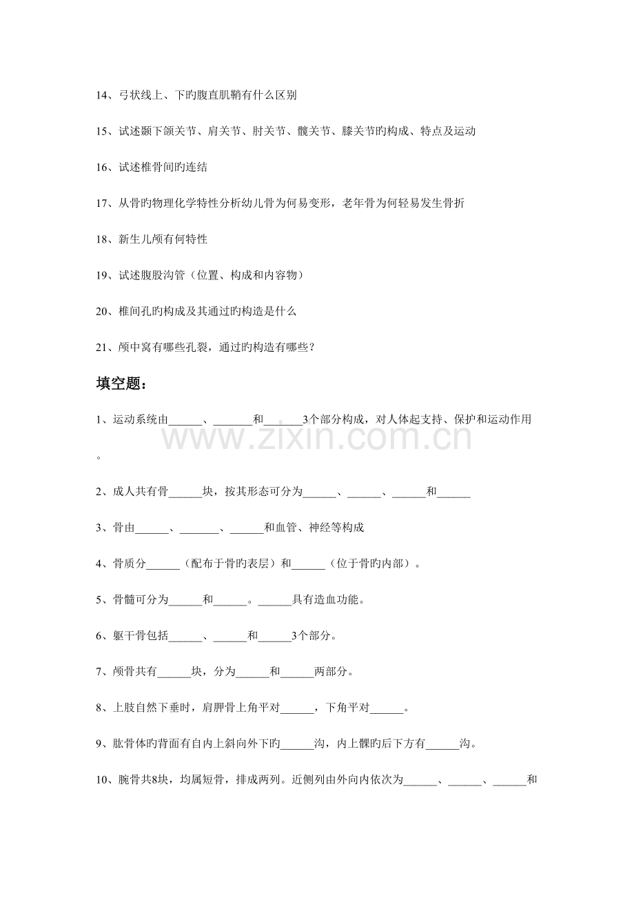 2023年运动系统知识点.doc_第2页