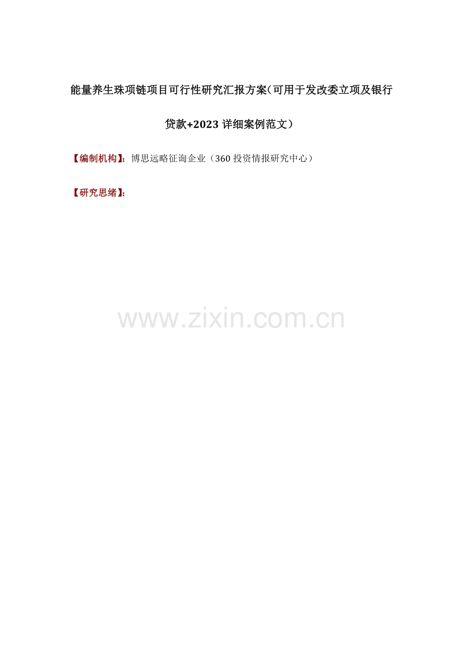 能量养生珠项链项目可行性研究报告方案可用于发改委立项及银行贷款详细案例范文.docx_第1页