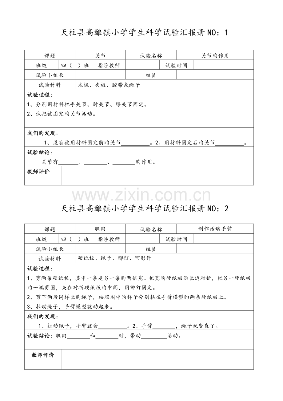 2023年苏教版小学四年级科学下册实验报告册.doc_第1页