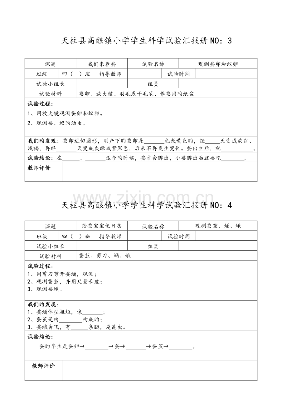 2023年苏教版小学四年级科学下册实验报告册.doc_第2页