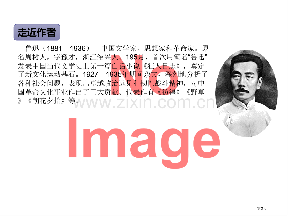 少年闰土ppt市名师优质课比赛一等奖市公开课获奖课件.pptx_第2页