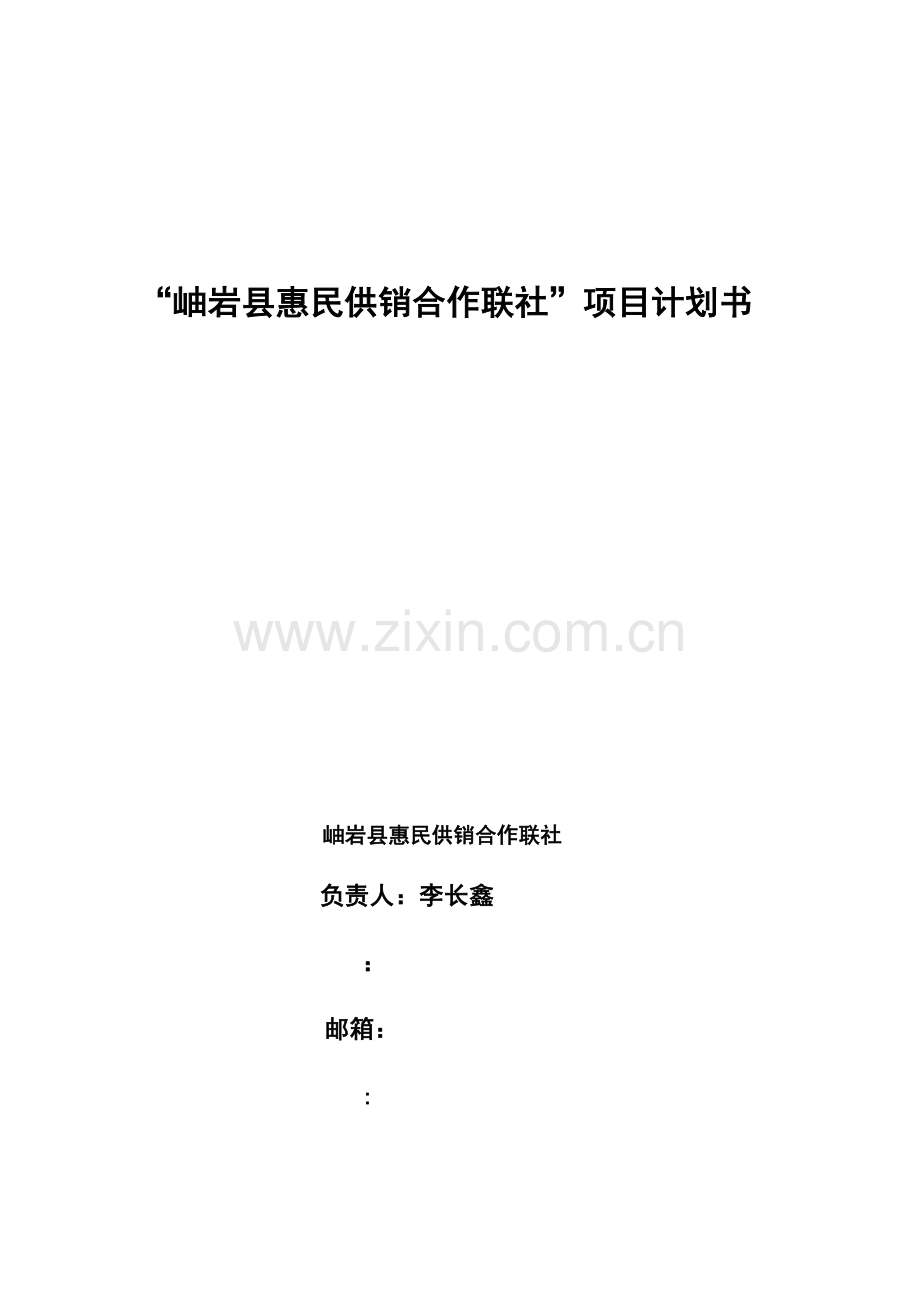 供销社项目计划书分析.doc_第1页