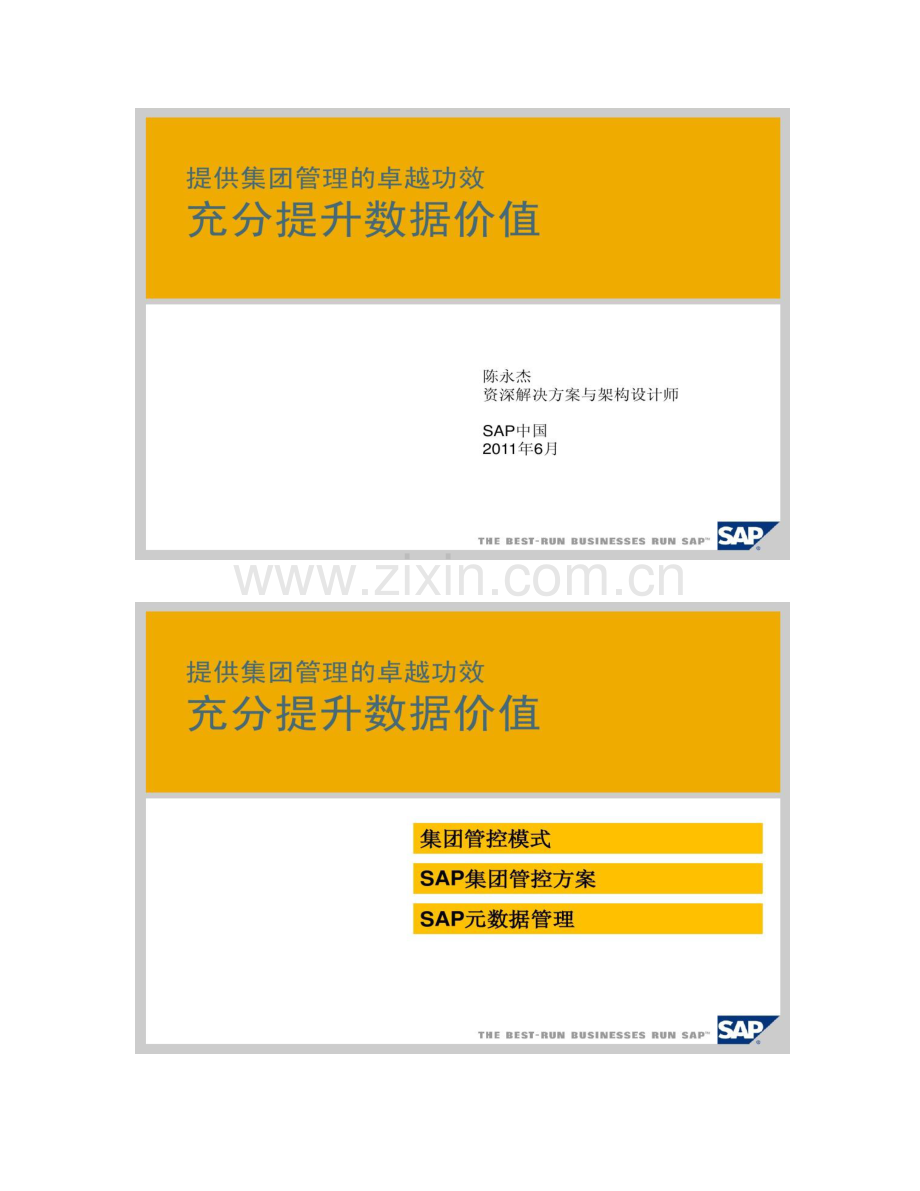 SAP集团管控方案及元数据管理.doc_第1页