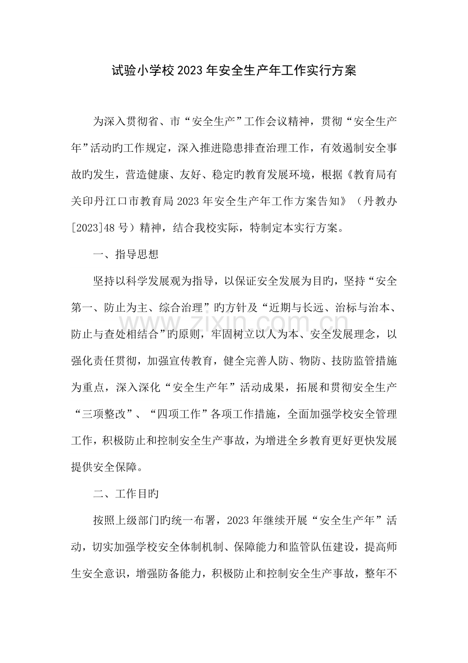 实验小学校年安全生产年活动实施方案.doc_第1页